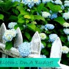 Thrifty Gardening Techniques