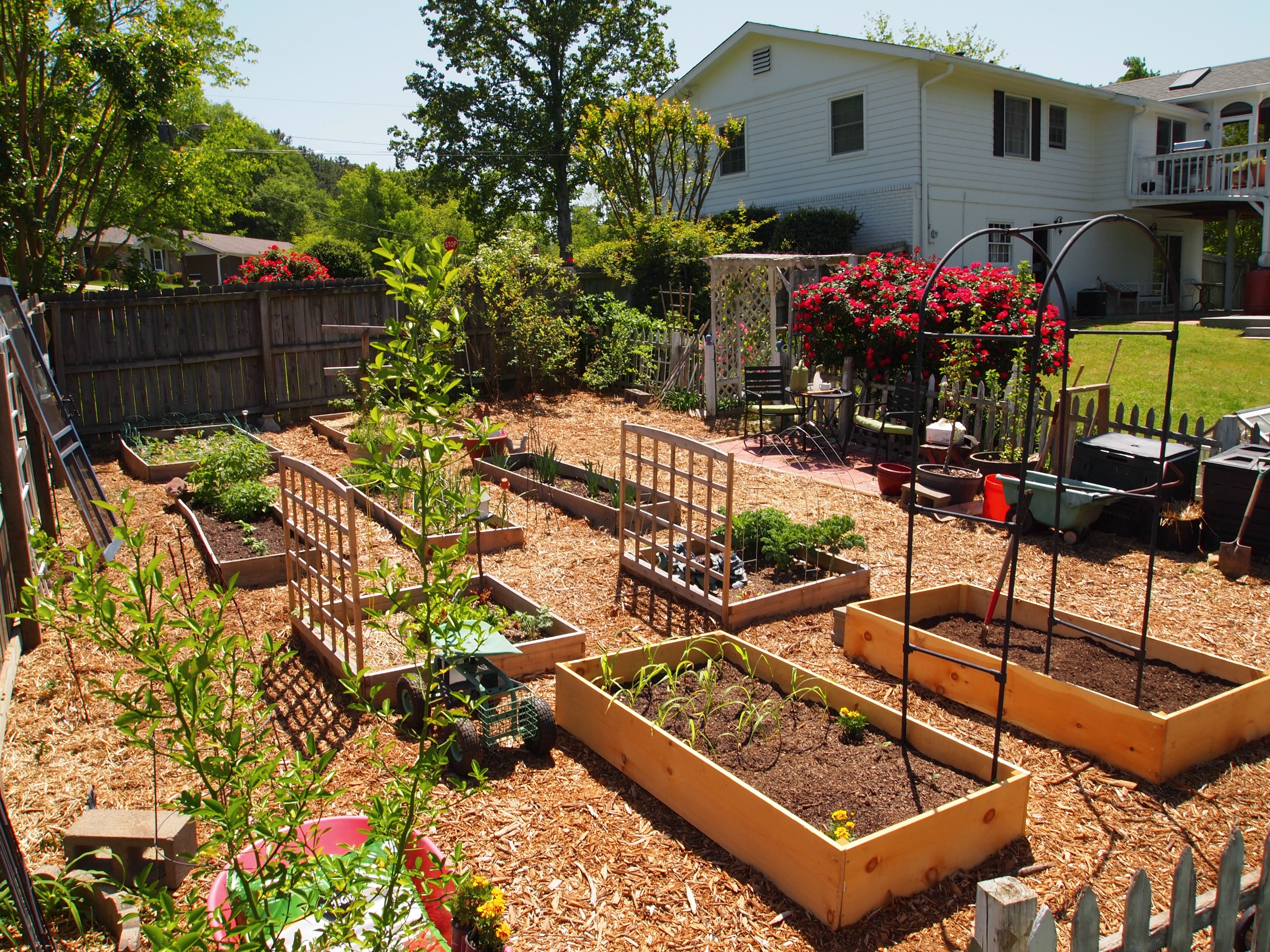  photos so you can get an idea of the vegetable garden layout so far