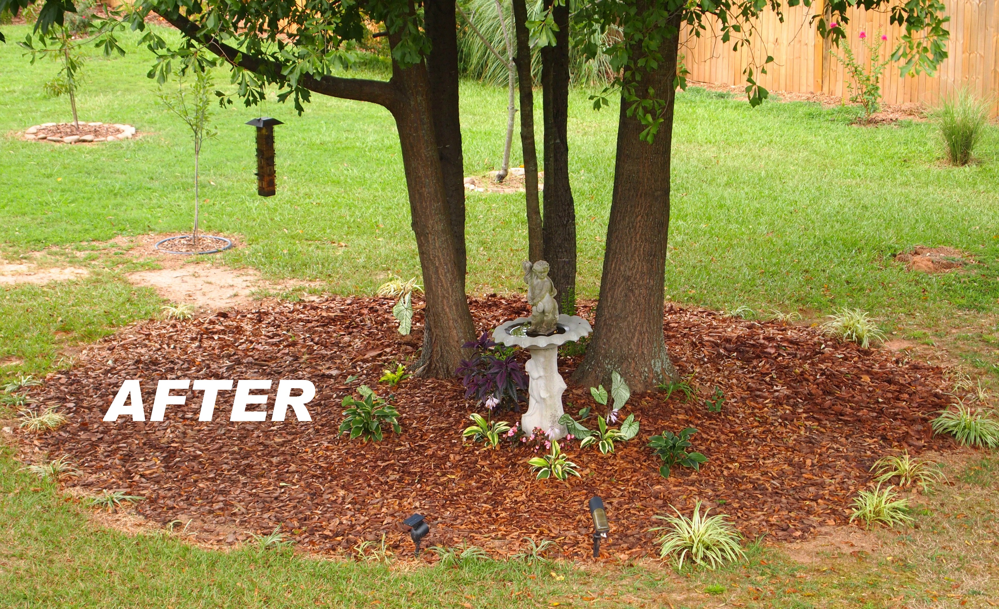 Planting Under Mature Trees - A Cultivated Nest