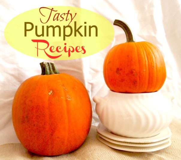 Pumpkin Recipes via A Cultivated Nest