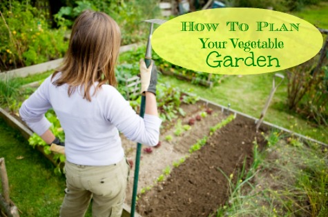 Garden Technology - How To Plan Your Vegetable Garden - A Cultivated ...