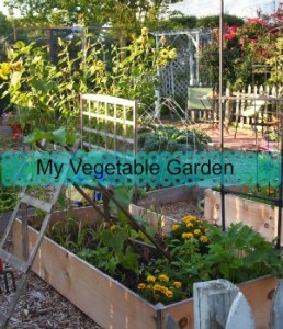 A Cultivated Nest My Vegetable Garden