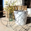 diy wire garden globes