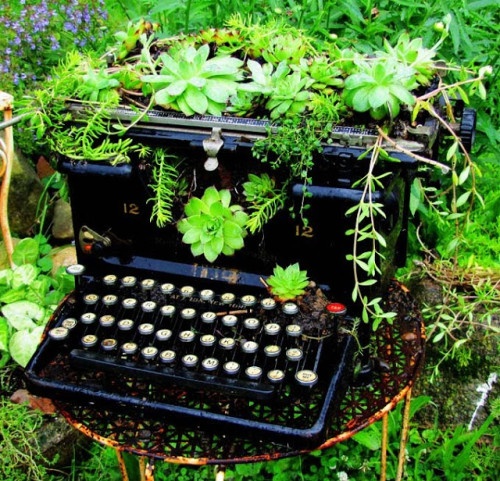 Typewriter utilisé comme planteur