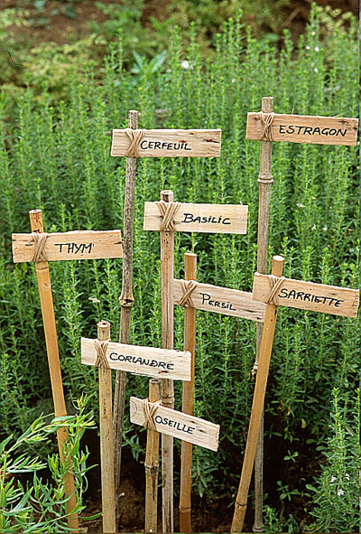 Rustic french plant markers