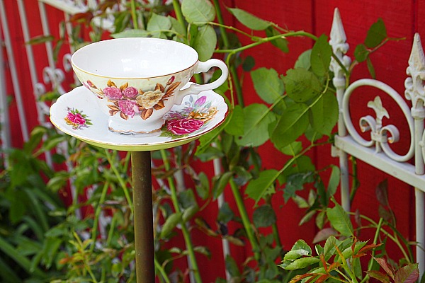 teacup birdfeeder