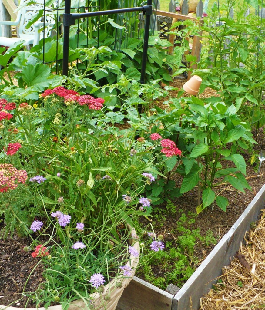 flowers mixed with vegetables