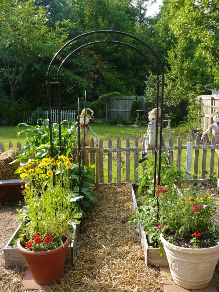 arbor between two raised beds in the vegetable garden