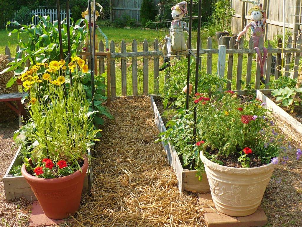 containers with flowers in the vegetable garden