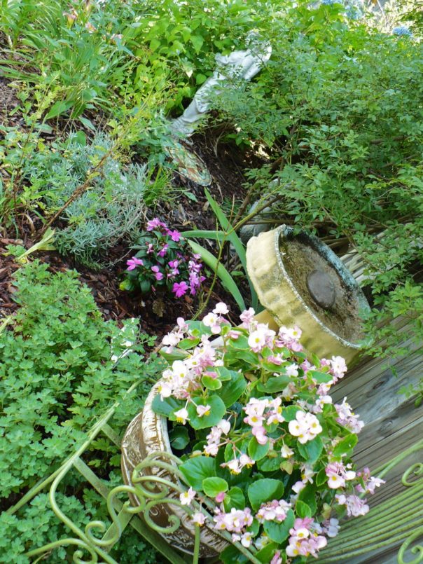 On The Fence - A Cultivated Nest