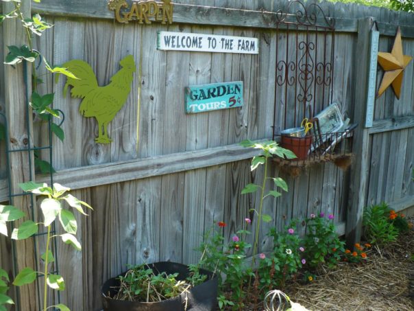 On The Fence - A Cultivated Nest