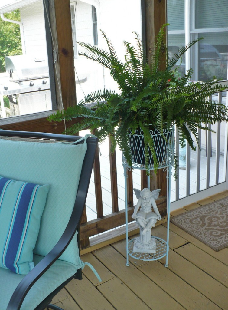 fern in blue wire planter