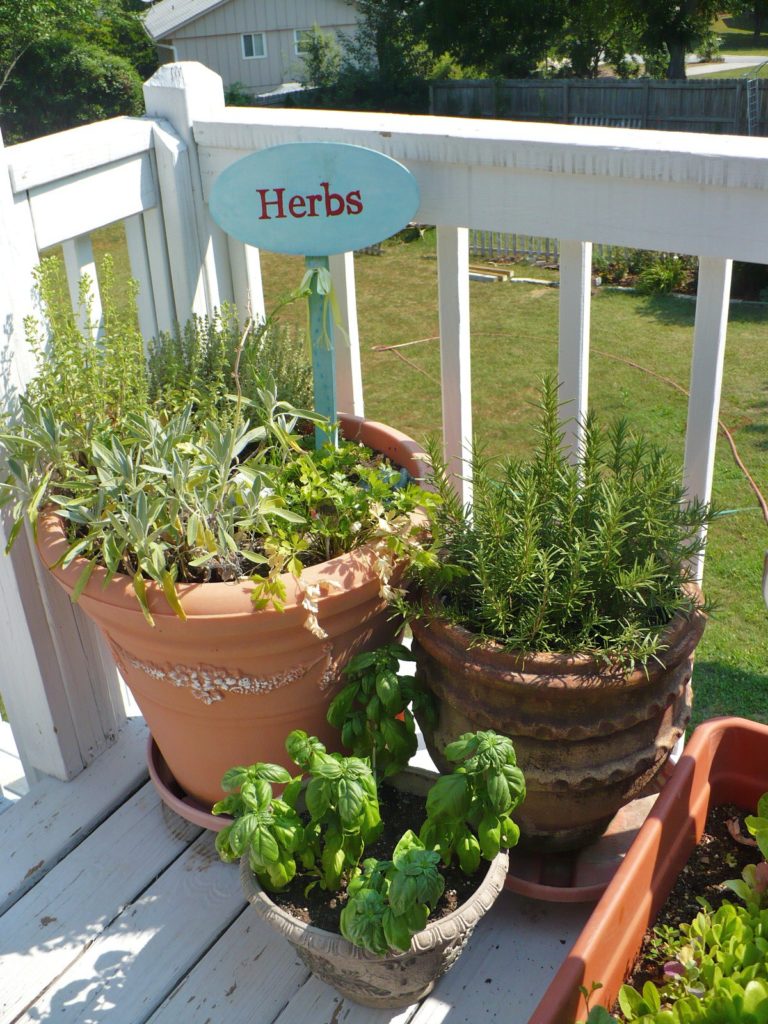 patio herb garden with hand letter herb sign