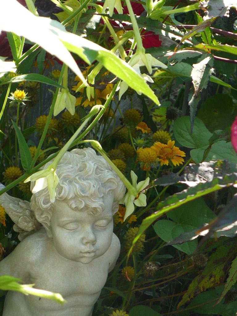 garden cherub in a cottage garden border