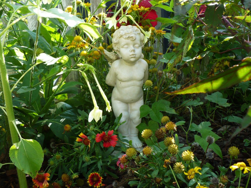 garden cherub in a flower border