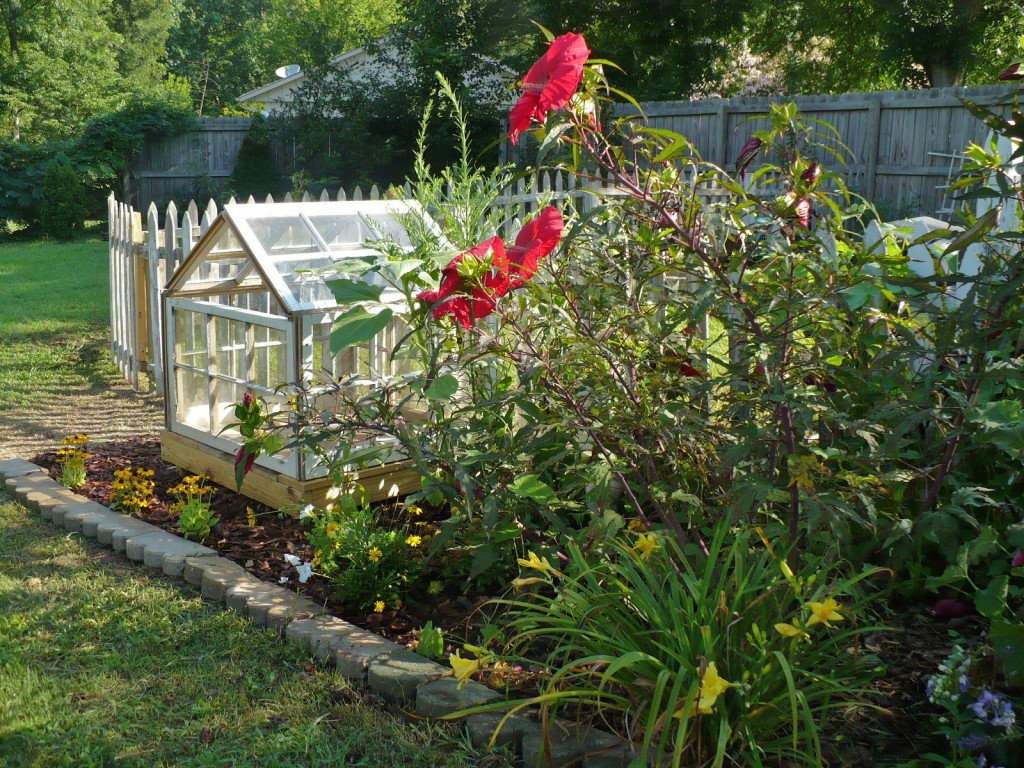 cottage garden border with red hibiscus