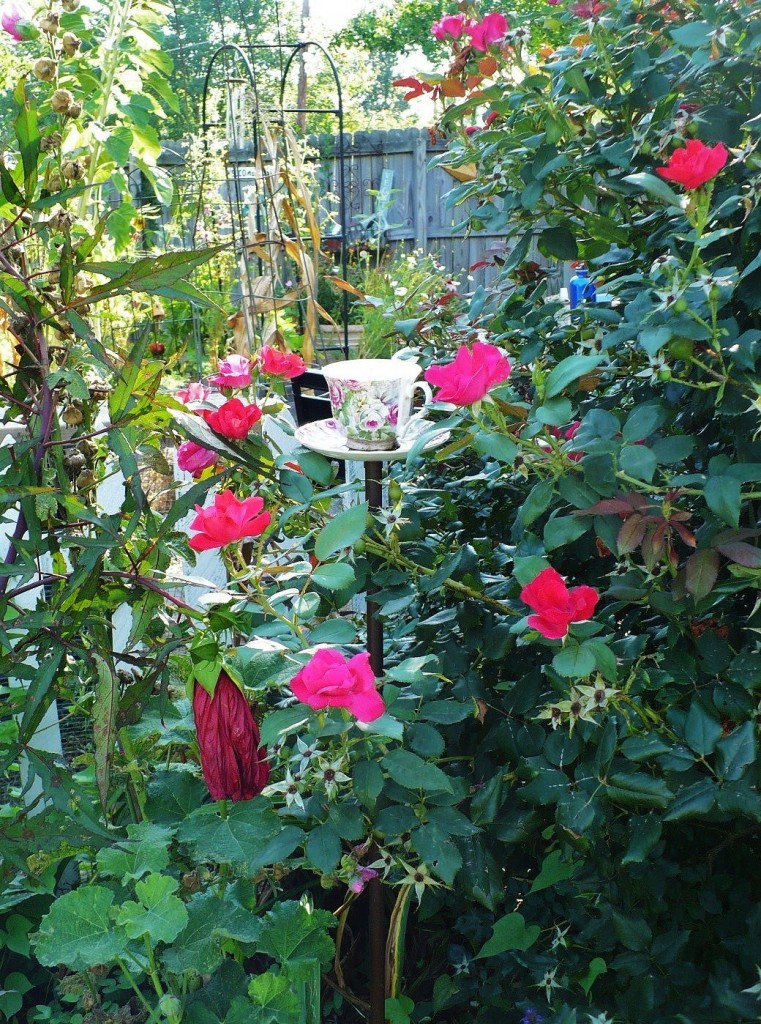 diy teacup birdfeeder