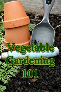 beginner vegetable gardening tips