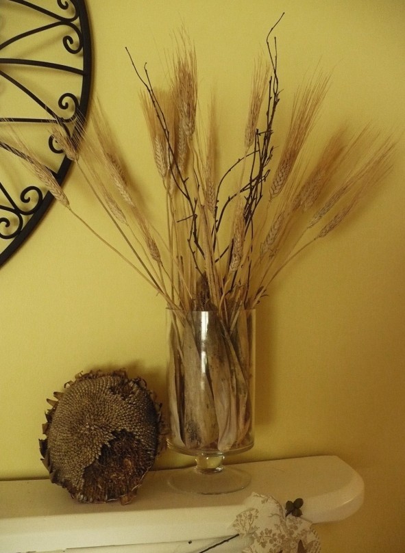 sunflower head from the garden used for fall decor