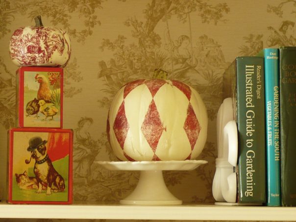 red and white harlequin pumpkin