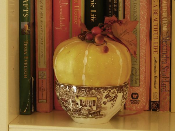 pumpkin in a transferware bowl