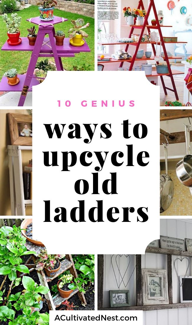 Fun Ways to Use Old Ladders In Your Home- Instead of throwing away old ladders, upcycle then instead with these clever DIY ladder projects! There are so many ways to repurpose old ladders! | ladder decor tutorial, how to use old wooden ladders, #DIY #upcycle #repurpose #ACultivatedNest