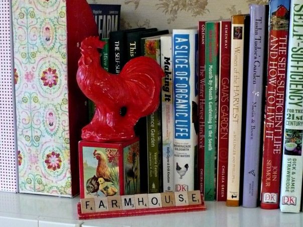 homesteading books