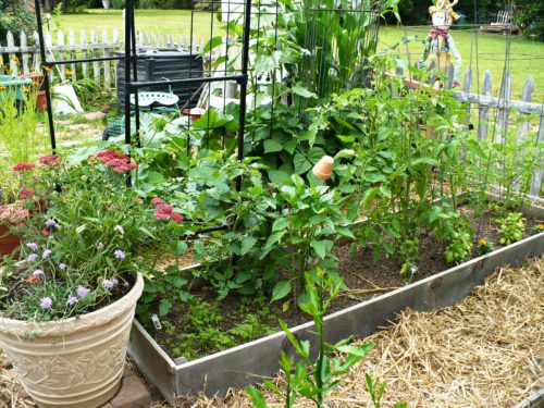 How To Build A Easy Wood Raised Bed