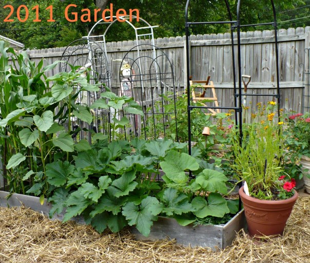 2011 Raised Bed