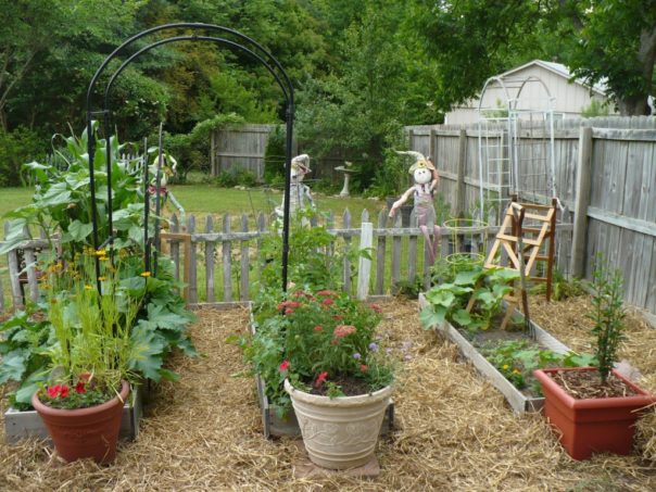 raised vegetable garden