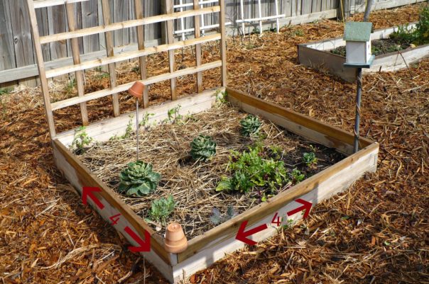 4x4 raised bed