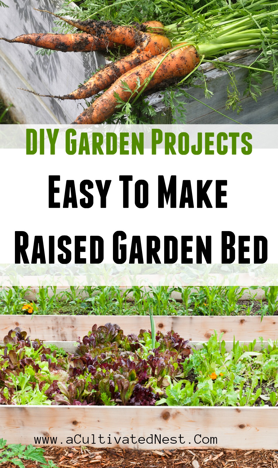 Easy DIY Raised Bed tutorial. They're easier on your knees and back than traditional beds and easier to weed & maintain! An easy step-by-step guide for raised garden beds. Vegetable gardening, how to make a raised bed #gardening #vegetablegardening #acultivatednest
