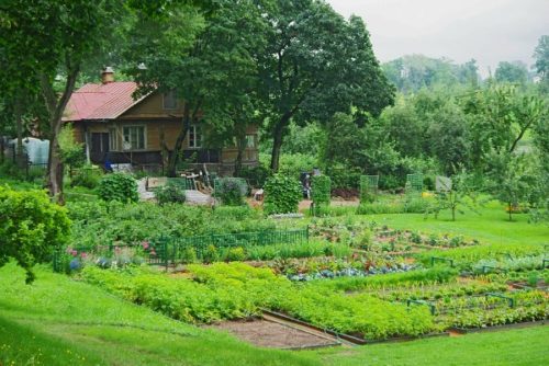 The Basics of Planning Your Vegetable Garden - A Cultivated Nest
