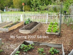 The Basics of Planning Your Vegetable Garden - A Cultivated Nest