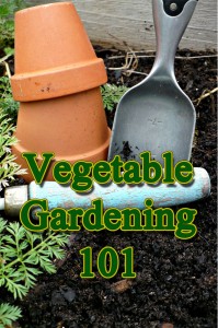 gardening 101