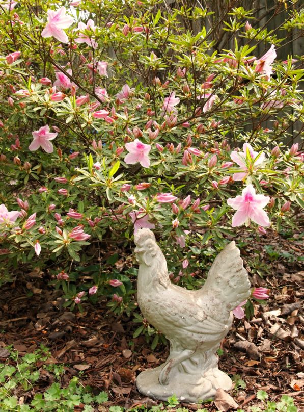 concrete chicken in garden