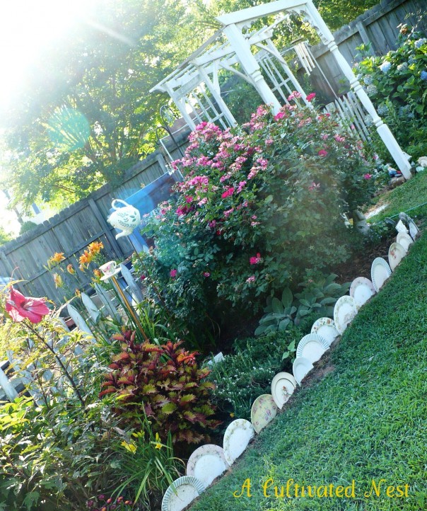 plates edging perennial border