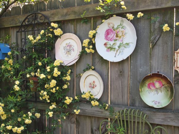 plates on a fence