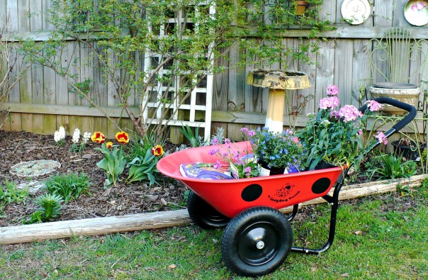 wheelbarrow filled with flowers