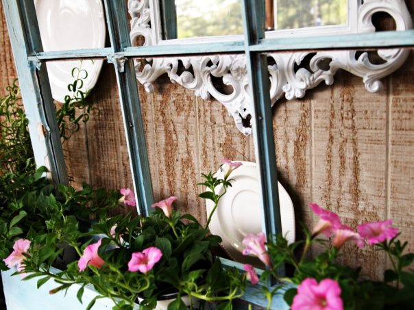 window box with petunias