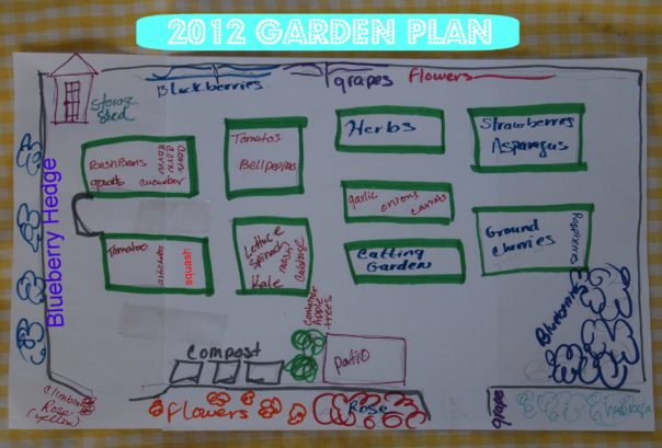 garden plan sketch
