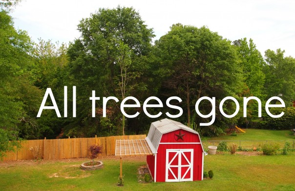 trees cut by Colonial Pipeline