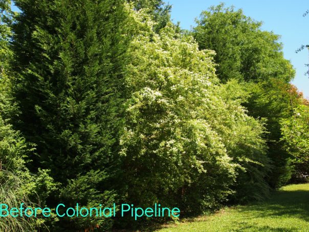 fence line before colonial pipeline