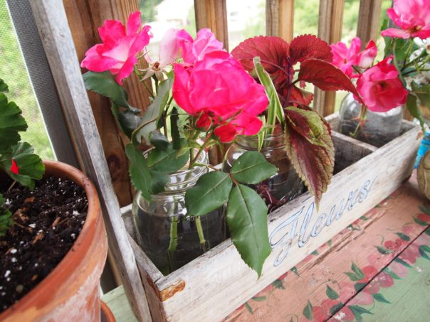 roses in ball jars