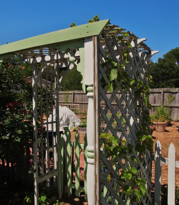 arbor around gate