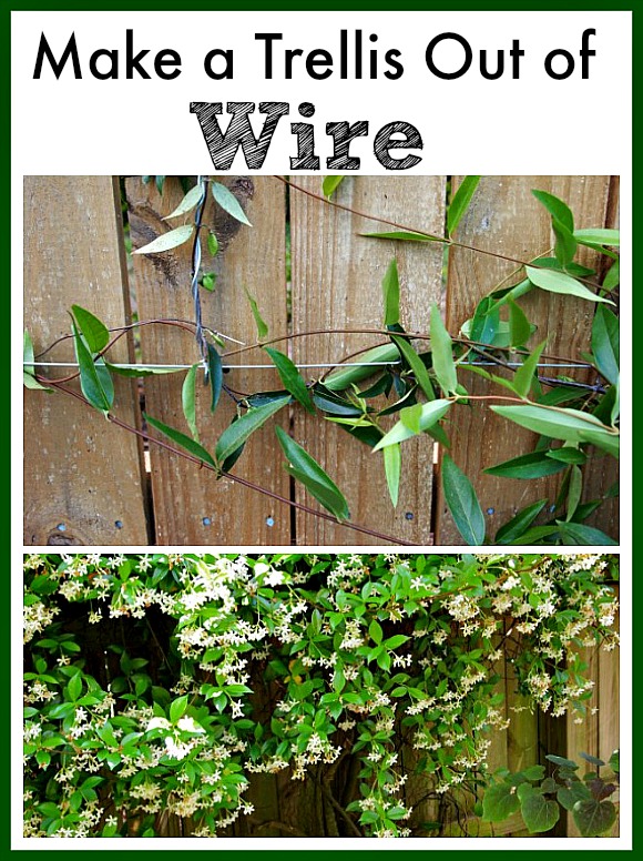 How to make a pretty wire trellis for your garden