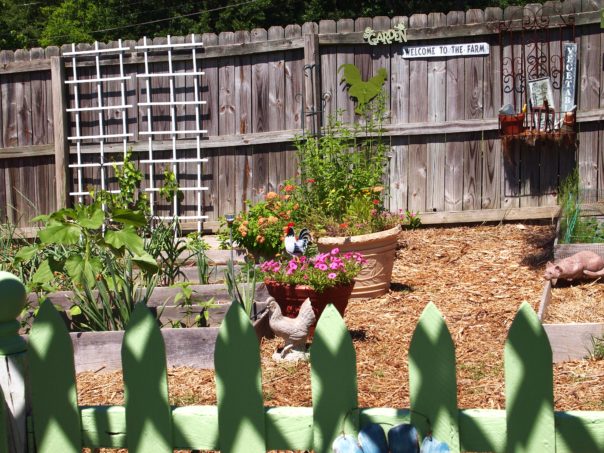 vegetable garden