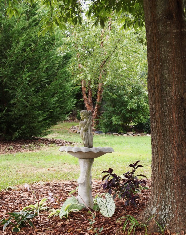 planting under mature trees