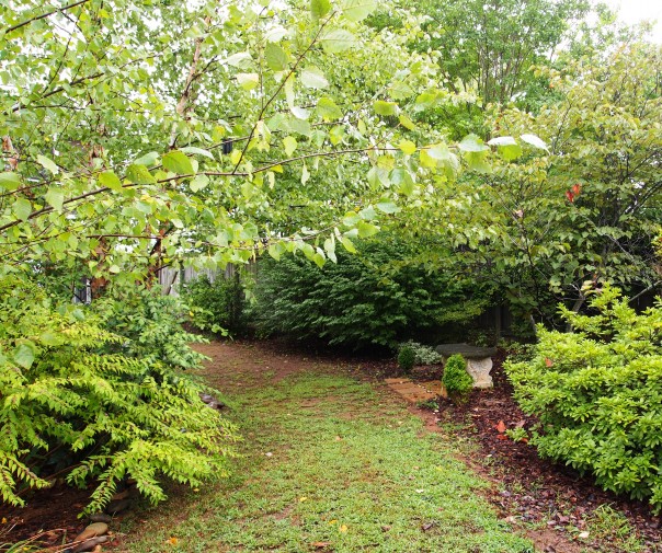 garden path