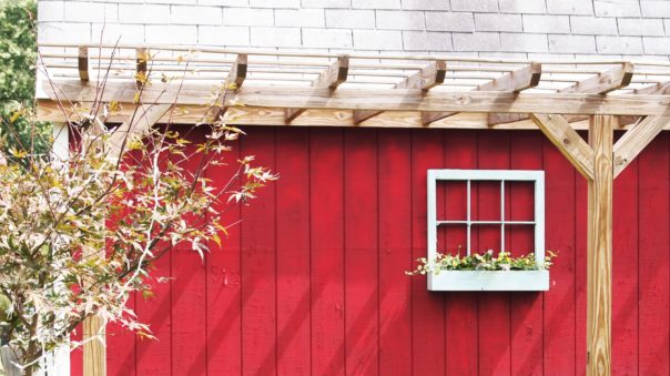 aqua window box